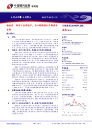 杨房沟、两河口全部投产，沿江新能源打开新成长空间