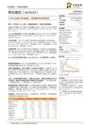 TW收入同增38%快速增长，债务置换优化财务结构