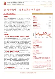 Q1逆势大增,大单品策略卓有成效