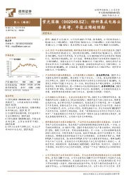 特种集成电路业务高增,年报业绩超预期