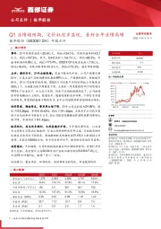 年报点评：Q1业绩超预期，定价权逐步显现，看好全年业绩高增