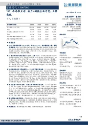 2021年年报点评:动力+储能全面开花,业绩亮眼