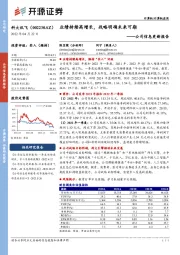 公司信息更新报告：业绩持续高增长，战略明确未来可期