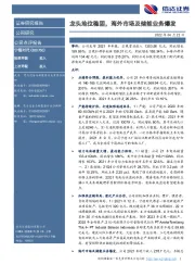 龙头地位稳固，海外市场及储能业务爆发