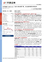 公司年报点评报告：成本大涨业绩下滑，关注盈利修复及高成长