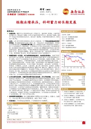 短期业绩承压，科研蓄力助长期发展
