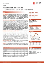 2022一季度业绩点评报告：1Q22业绩表现稳健，看好2H22E爬坡