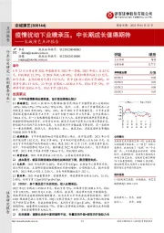 宋城演艺点评报告:疫情扰动下业绩承压,中长期成长值得期待