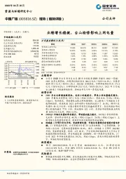 业绩增长稳健，台山检修影响上网电量