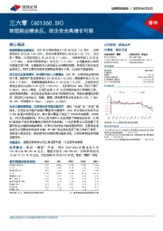 转型期业绩承压，政企安全高增长可期