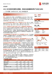 2021年年报点评:2021年归母净利润符合预期,积极布局炭素新材料产业助力成长
