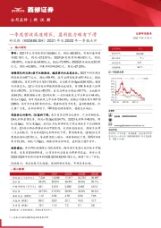 2021年及2022年一季报点评:一季度营收高速增长,盈利能力略有下滑