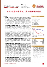 医疗+消费并驾齐驱,步入稳健增长阶段