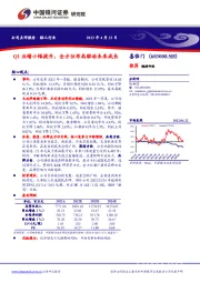 Q1业绩小幅提升,全方位布局驱动未来成长