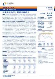短期业绩承压,静待长期拐点