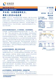 多品类、全渠道持续发力，整装大家居加速放量