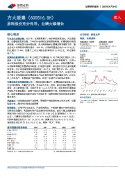 原料涨价充分传导，业绩大幅增长