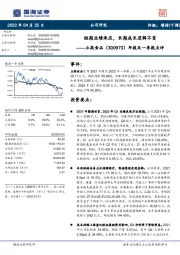 年报及一季报点评：短期业绩承压，长期成长逻辑不变