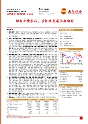 短期业绩承压，多板块发展长期向好