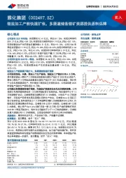 锂盐加工产能快速扩张，多渠道储备锂矿资源提供原料保障