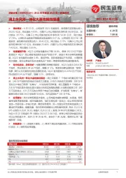2021年年报及2022年一季报点评:澜上水风光一体化大基地换挡提速