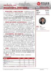 公司深度:偏光片龙头产能扩张,谱写国产化乐章
