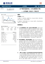 年报点评：扩产叠加氢能布局，公司业绩增长可期