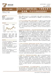 下游需求景气度持续,平台化战略进展顺利