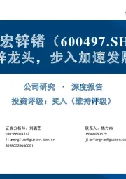 铅锌龙头,步入加速发展期