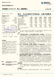 焦化、气化双线运行平滑波动，业绩平稳释放