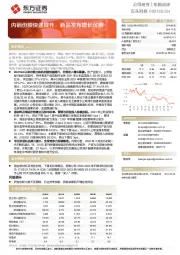 内销份额快速提升，新品发布增长可期