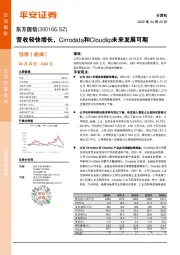 营收较快增长,Cirrodata和Cloudiip未来发展可期