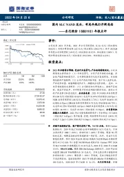 年报点评：国内SLC NAND龙头，布局车规打开新局面