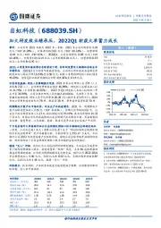 加大研发致业绩承压，2022Q1斩获大单蓄力成长