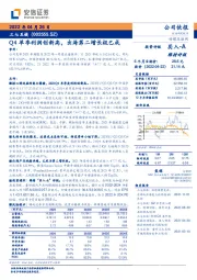 Q4单季利润创新高,出海第二增长极已成