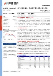 公司信息更新报告：收入持续高增长，新能源有望开启第二增长曲线