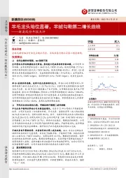 新澳股份年报点评：羊毛龙头地位显著，羊绒勾勒第二增长曲线