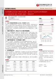 海优新材2021年报及2022一季报点评：光伏胶膜龙头受益下游需求高增，有序扩产支撑市占率持续提升