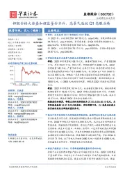 钾肥价格大涨叠加锂盐量价齐升，高景气造就Q1亮眼业绩