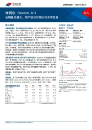 业绩稳定增长,恒宁项目引领公司未来发展