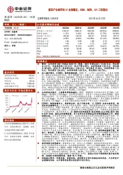 新冠产业链带来Q1业绩爆发，CDMO、制剂、API三轮驱动