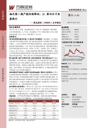 点评报告：抛光垫二期产能陆续释放，Q1盈利水平显著提升