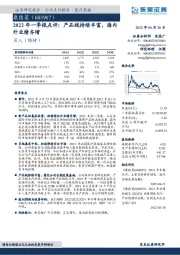 2022年一季报点评:产品线持续丰富,海内外业绩齐增