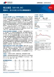 国际化、多元化助力公司业绩稳健增长