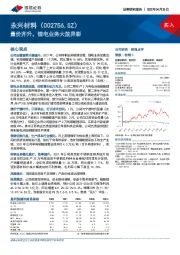 量价齐升，锂电业务大放异彩