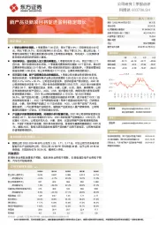 新产品及新项目将促进盈利稳定增长