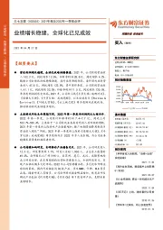 2021年报及2022年一季报点评:业绩增长稳健,全球化已见成效