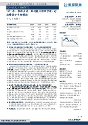 2022年一季报点评：盈利能力明显下滑，Q1业绩低于市场预期