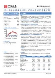 量利齐升业绩快速增长，产能扩张巩固竞争优势