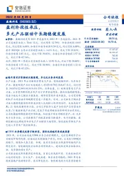 盈利阶段性承压，多元产品驱动中长期稳健发展